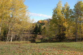 Hilly Haven Farm, Caledon - Country homes for sale and luxury real estate including horse farms and property in the Caledon and King City areas near Toronto